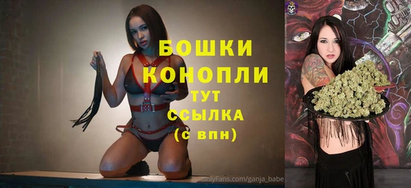 индика Вязники
