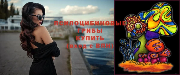 Альфа ПВП Вязьма