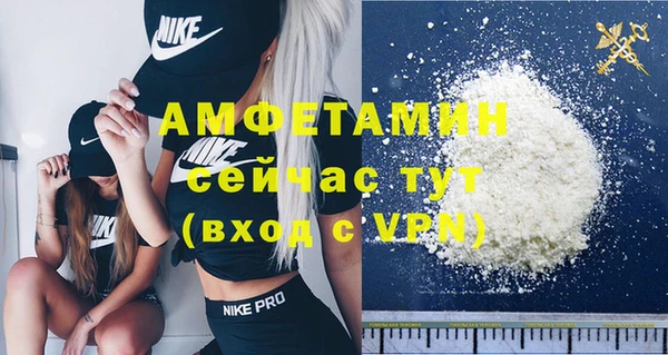 индика Вязники