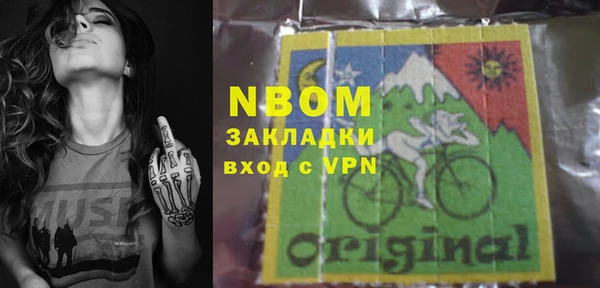 индика Вязники