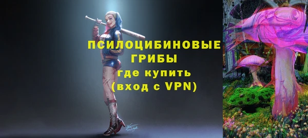 Альфа ПВП Вязьма