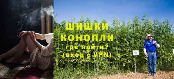 индика Вязники