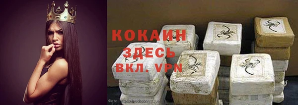 индика Вязники