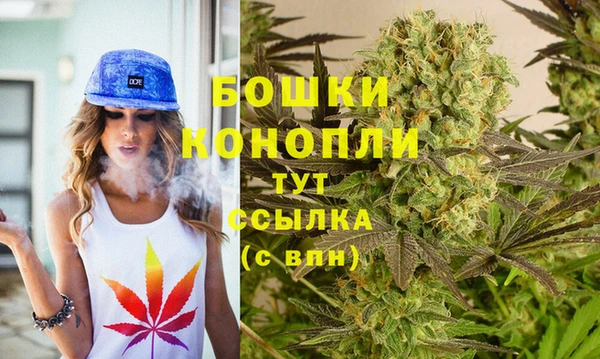 индика Вязники