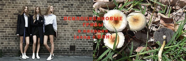 Альфа ПВП Вязьма