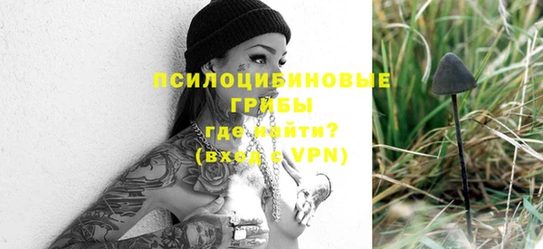 mix Вяземский