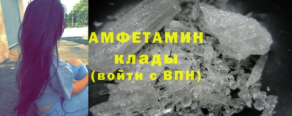 индика Вязники