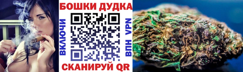 закладки  Камышин  Бошки марихуана Amnesia 